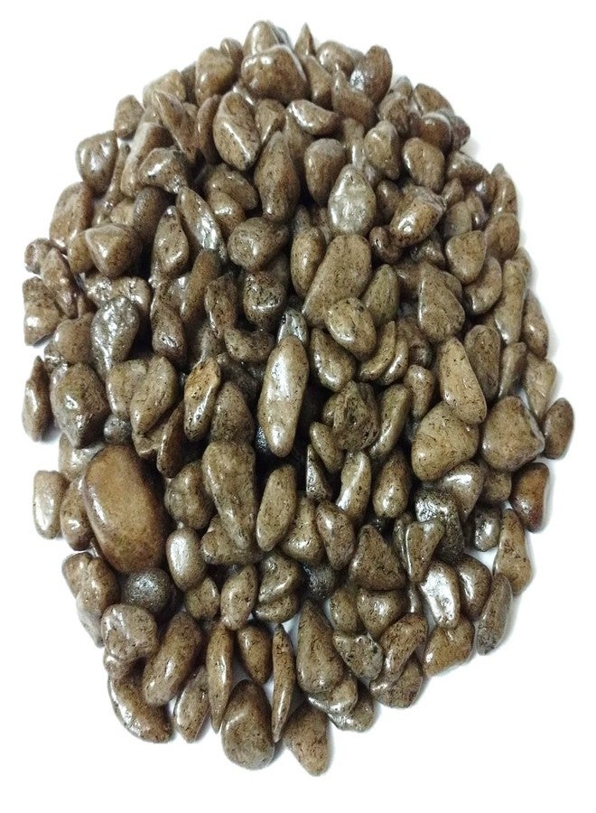 دي أس18 حصى/أحجار بنية اللون من DS لأحواض السمك والمزهريات والحدائق، 475 غرام - Image 1